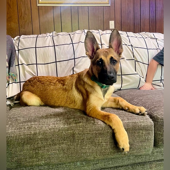 Please read 💚 - Picture 13 of 14